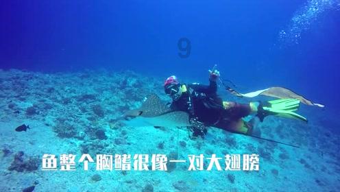 韩国抗皱保湿面霜 韩国妮珍抗皱紧致面霜怎么样