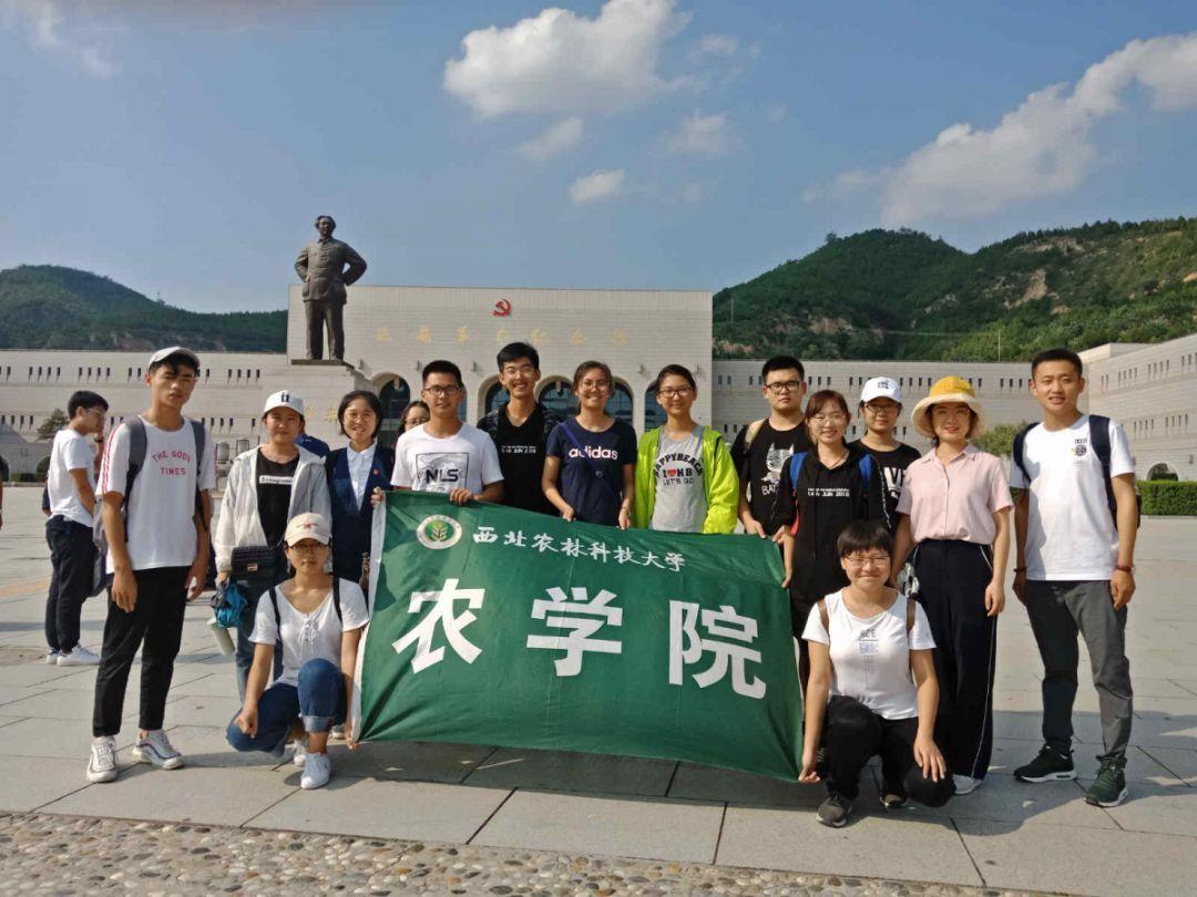 福暖五华年 | 缤纷民俗福满天,黑林铺街道开展第十一届民俗闹新春活动
